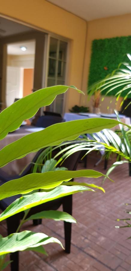 Mh Boutique Hotel San Pedro Sula Zewnętrze zdjęcie